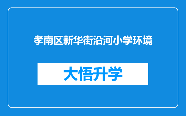 孝南区新华街沿河小学环境