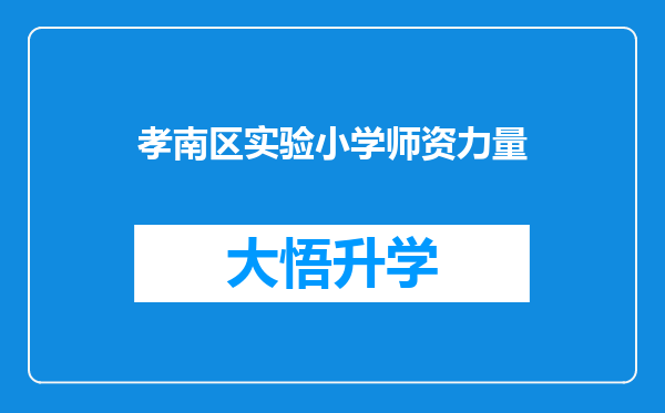 孝南区实验小学师资力量