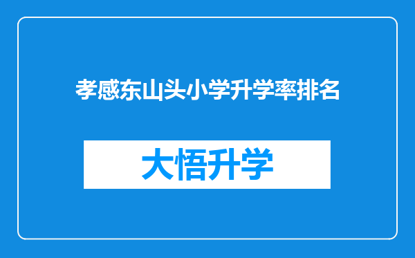 孝感东山头小学升学率排名