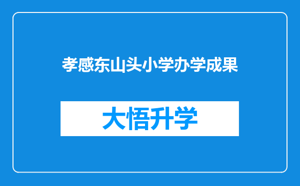 孝感东山头小学办学成果