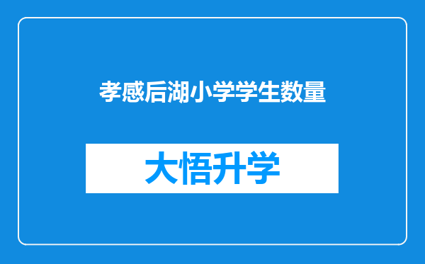 孝感后湖小学学生数量