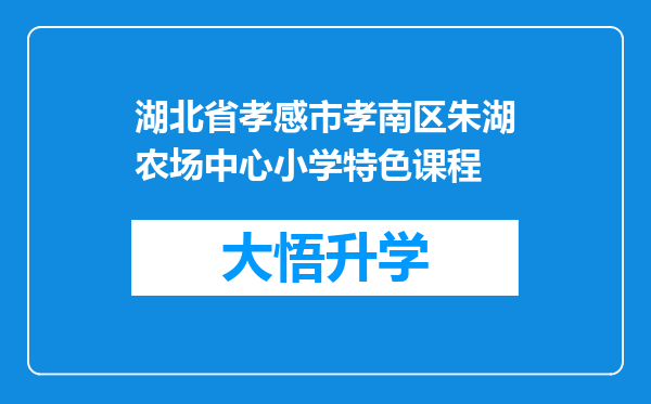 湖北省孝感市孝南区朱湖农场中心小学特色课程