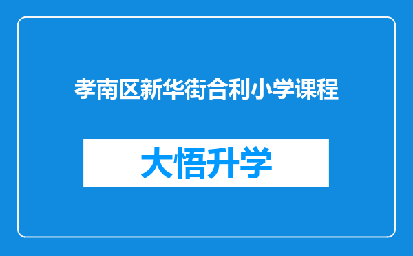 孝南区新华街合利小学课程