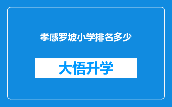 孝感罗坡小学排名多少