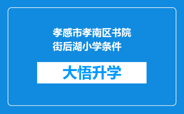 孝感市孝南区书院街后湖小学条件