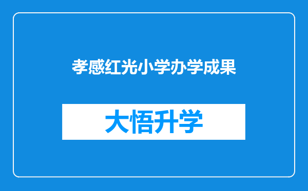 孝感红光小学办学成果