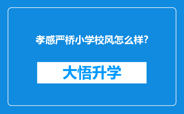 孝感严桥小学校风怎么样？