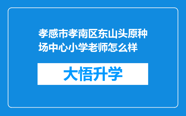 孝感市孝南区东山头原种场中心小学老师怎么样