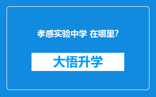 孝感实验中学 在哪里？