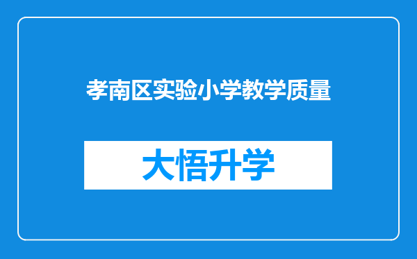 孝南区实验小学教学质量