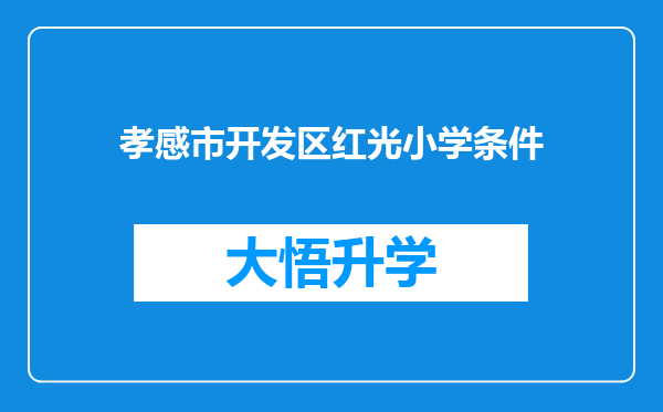 孝感市开发区红光小学条件