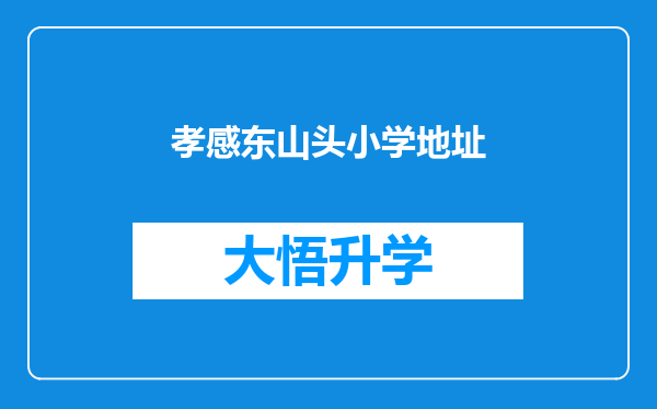 孝感东山头小学地址