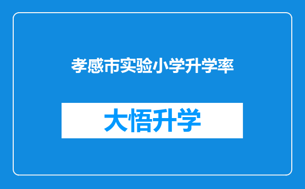 孝感市实验小学升学率