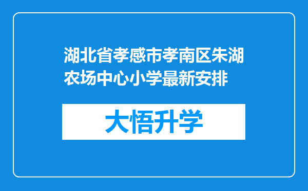 湖北省孝感市孝南区朱湖农场中心小学最新安排