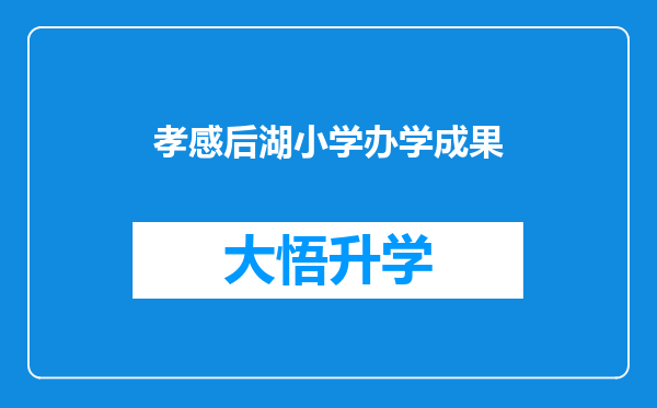 孝感后湖小学办学成果