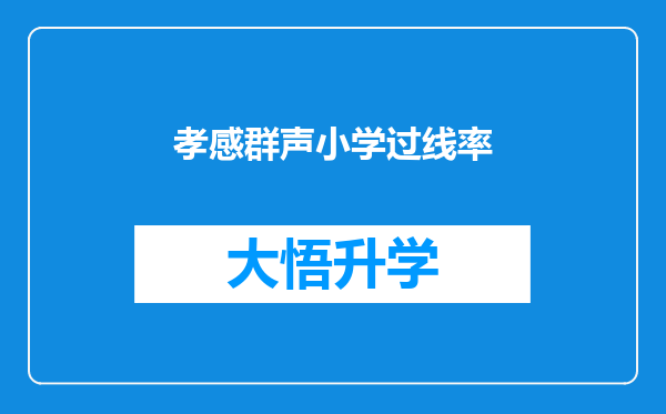 孝感群声小学过线率