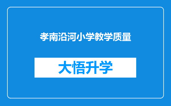 孝南沿河小学教学质量