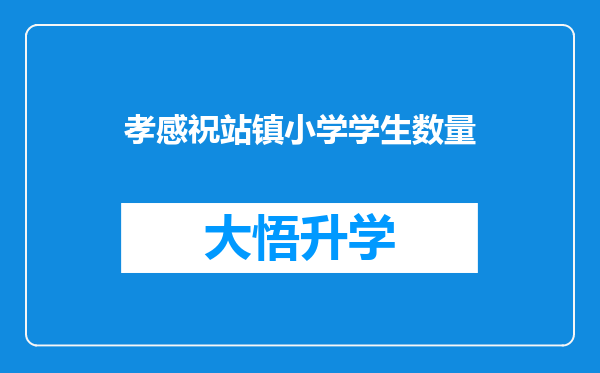 孝感祝站镇小学学生数量