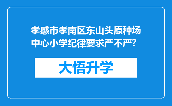 孝感市孝南区东山头原种场中心小学纪律要求严不严？