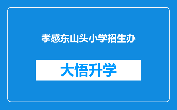 孝感东山头小学招生办