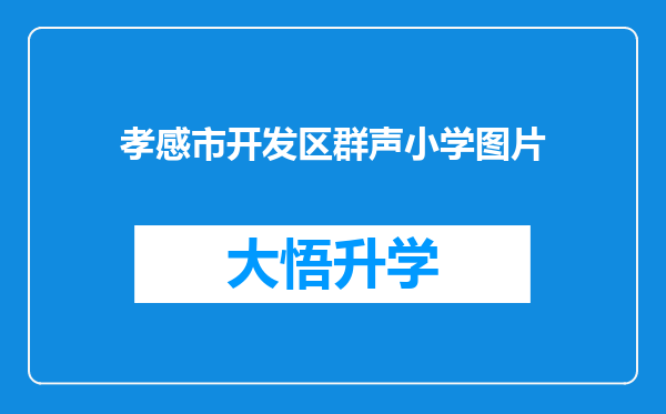 孝感市开发区群声小学图片