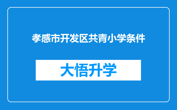 孝感市开发区共青小学条件