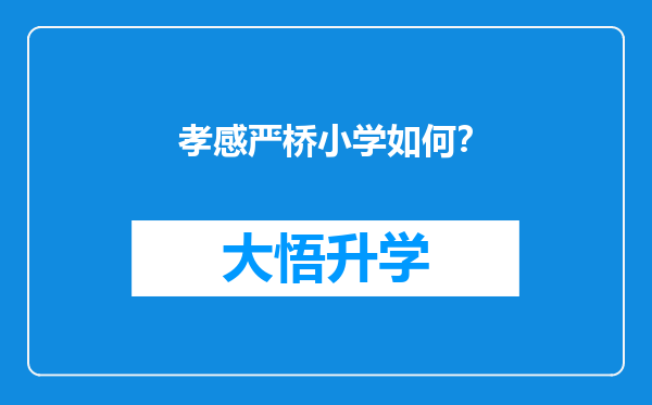 孝感严桥小学如何？