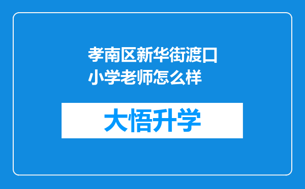 孝南区新华街渡口小学老师怎么样