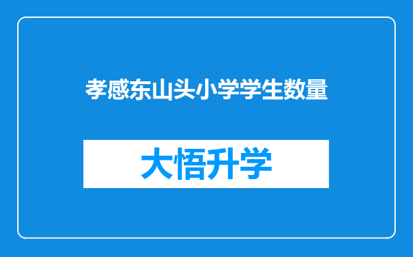 孝感东山头小学学生数量