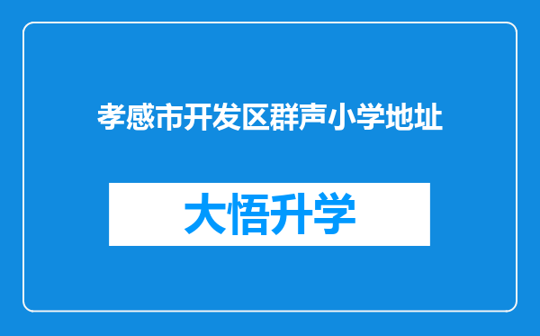 孝感市开发区群声小学地址