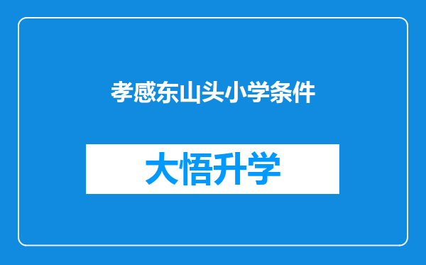 孝感东山头小学条件