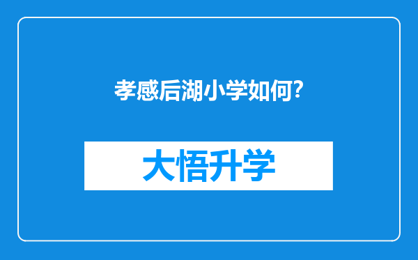 孝感后湖小学如何？