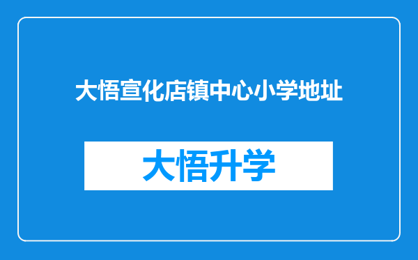 大悟宣化店镇中心小学地址