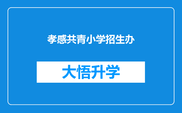 孝感共青小学招生办