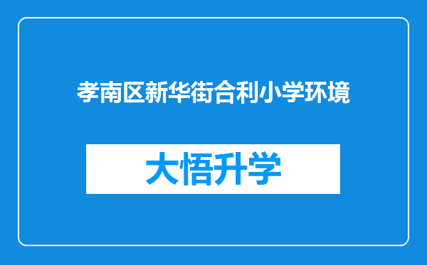 孝南区新华街合利小学环境