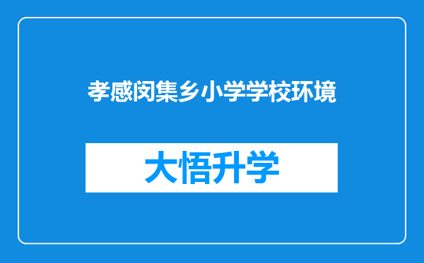 孝感闵集乡小学学校环境