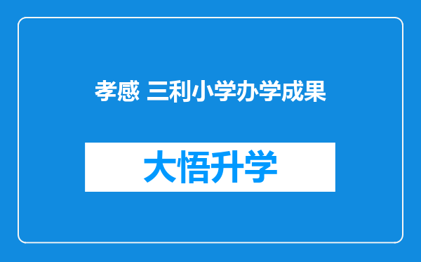 孝感 三利小学办学成果