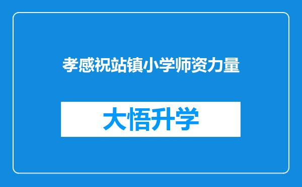 孝感祝站镇小学师资力量