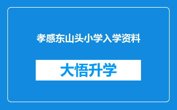 孝感东山头小学入学资料