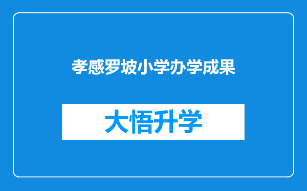 孝感罗坡小学办学成果