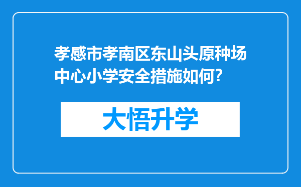 孝感市孝南区东山头原种场中心小学安全措施如何？