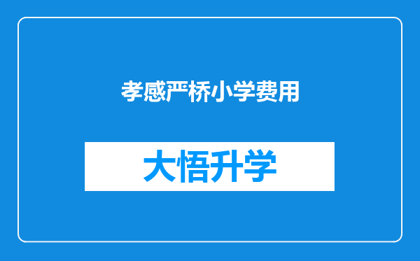 孝感严桥小学费用