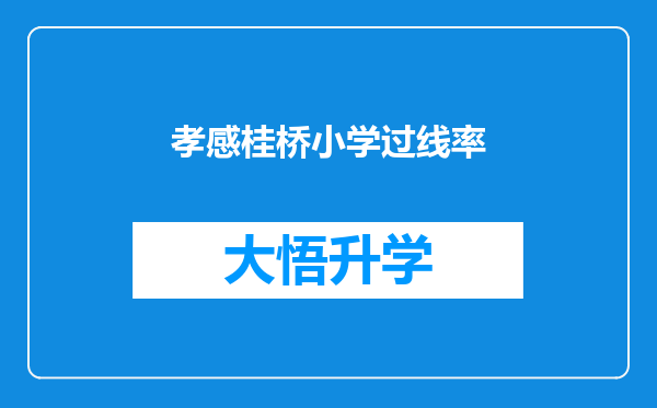 孝感桂桥小学过线率