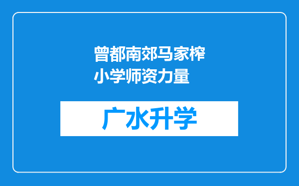 曾都南郊马家榨小学师资力量