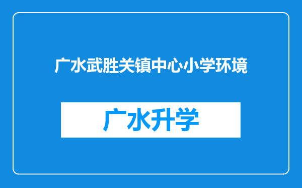 广水武胜关镇中心小学环境