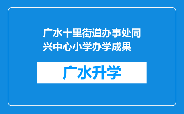 广水十里街道办事处同兴中心小学办学成果