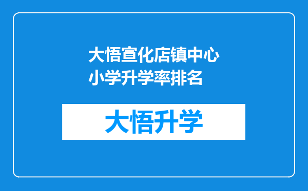 大悟宣化店镇中心小学升学率排名