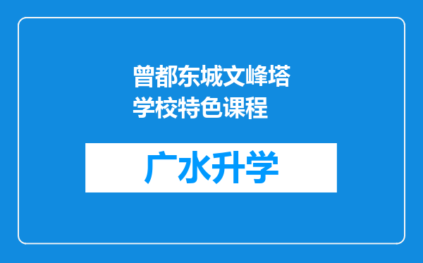 曾都东城文峰塔学校特色课程