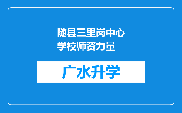 随县三里岗中心学校师资力量