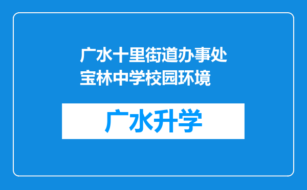 广水十里街道办事处宝林中学校园环境